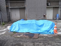 F試験体シート養生状況.jpg