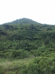 変換 〜 NEC_0013.jpg