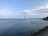IMG-1813.jpg