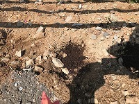 IMG-1820.jpg