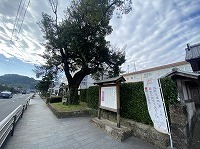 IMG_1336.jpg