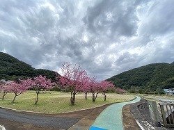 IMG_1583.jpg