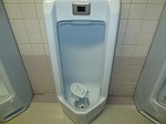IMG_4170.jpg